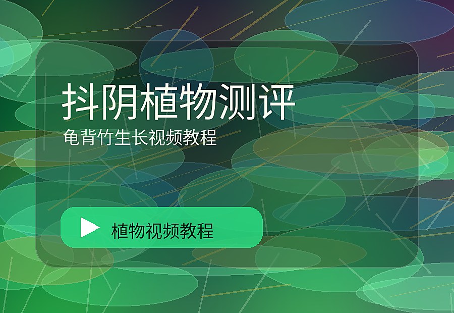 美娇花房