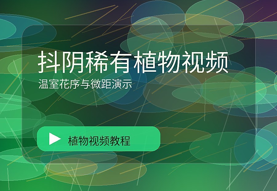 美娇花房